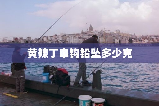 黄辣丁串钩铅坠多少克