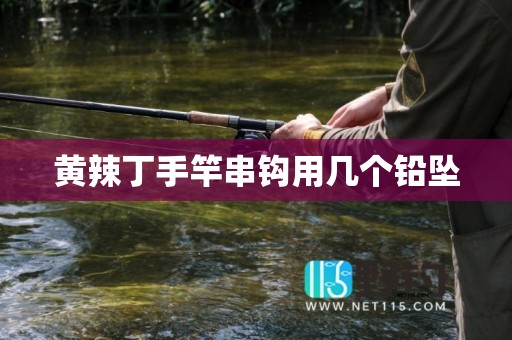 黄辣丁手竿串钩用几个铅坠