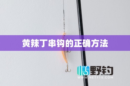 黄辣丁串钩的正确方法