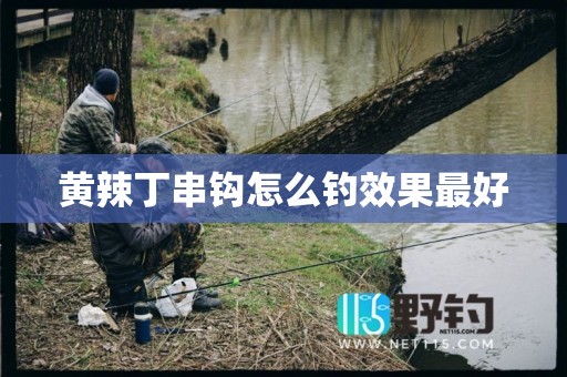 黄辣丁串钩怎么钓效果最好