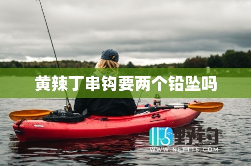 黄辣丁串钩要两个铅坠吗
