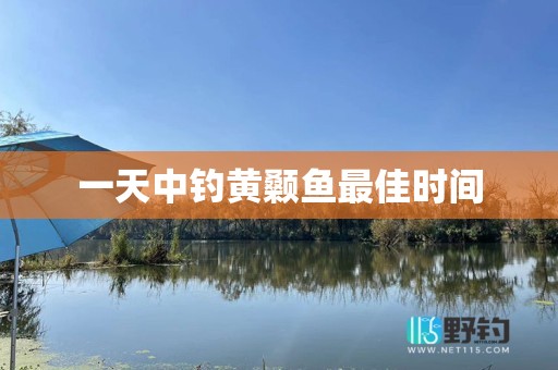 一天中钓黄颡鱼最佳时间
