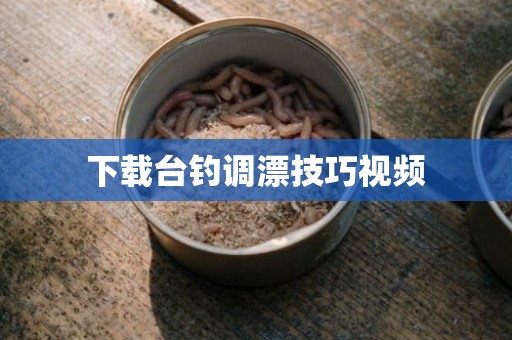 下载台钓调漂技巧视频