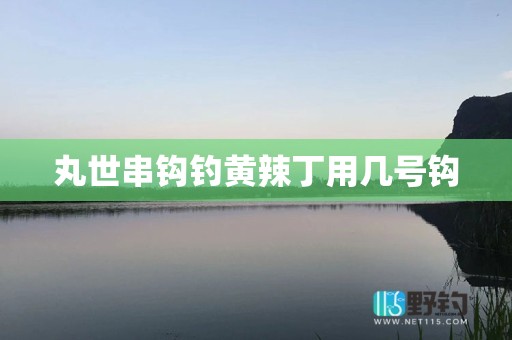 丸世串钩钓黄辣丁用几号钩