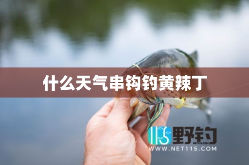 什么天气串钩钓黄辣丁