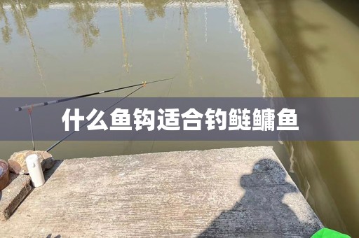 什么鱼钩适合钓鲢鳙鱼