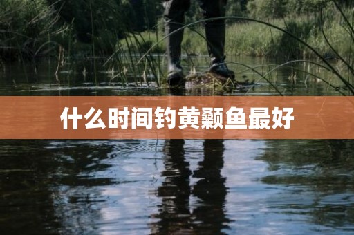 什么时间钓黄颡鱼最好