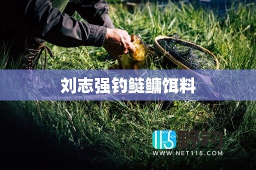 刘志强钓鲢鳙饵料