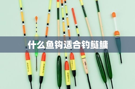什么鱼钩适合钓鲢鳙
