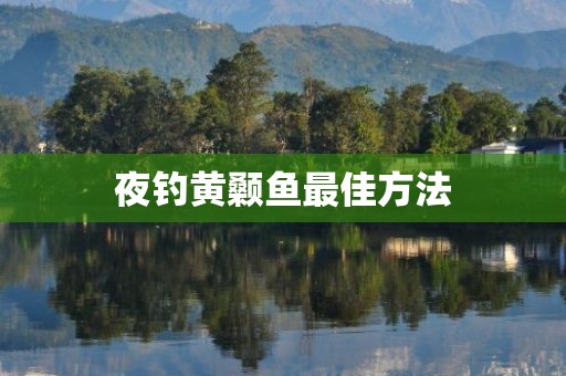夜钓黄颡鱼最佳方法