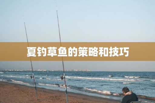 夏钓草鱼的策略和技巧