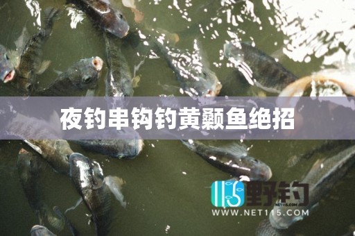 夜钓串钩钓黄颡鱼绝招
