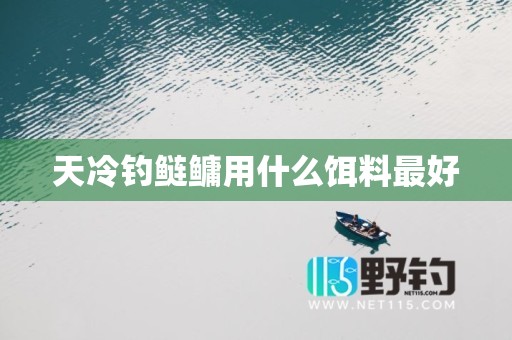 天冷钓鲢鳙用什么饵料最好