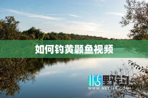 如何钓黄颡鱼视频