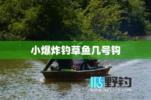 小爆炸钓草鱼几号钩