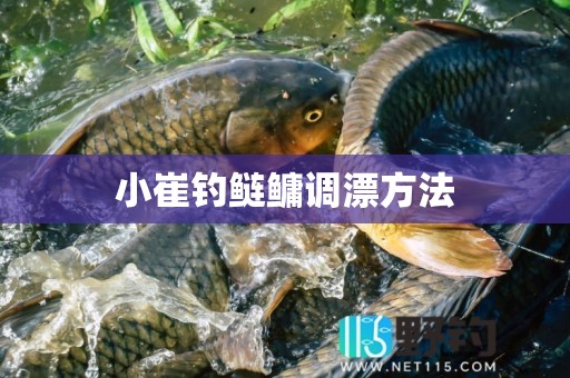 小崔钓鲢鳙调漂方法