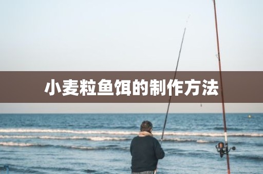 小麦粒鱼饵的制作方法