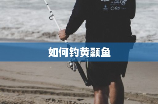 如何钓黄颡鱼