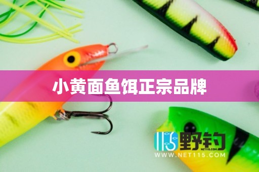小黄面鱼饵正宗品牌