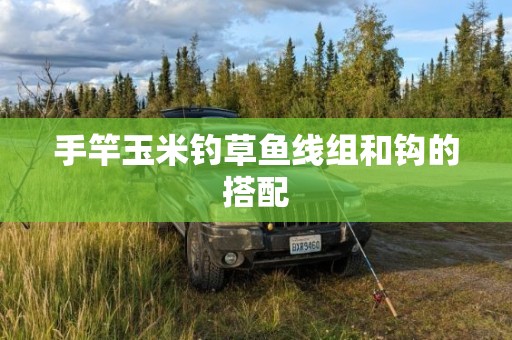 手竿玉米钓草鱼线组和钩的搭配