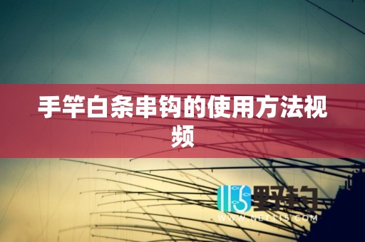 手竿白条串钩的使用方法视频