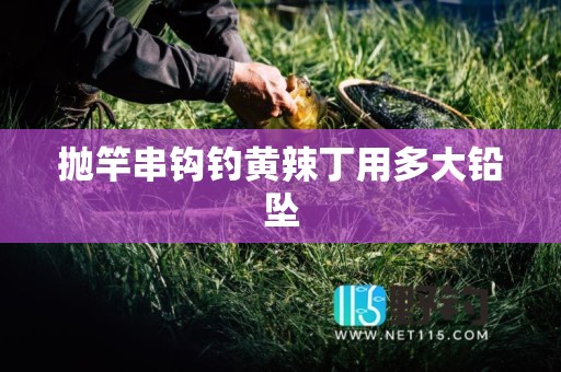 抛竿串钩钓黄辣丁用多大铅坠