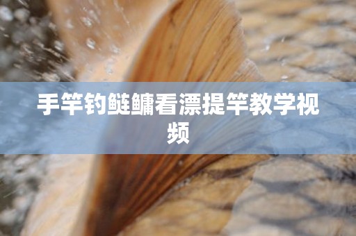 手竿钓鲢鳙看漂提竿教学视频
