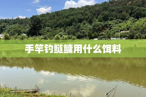 手竿钓鲢鳙用什么饵料