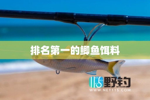 排名第一的鲫鱼饵料