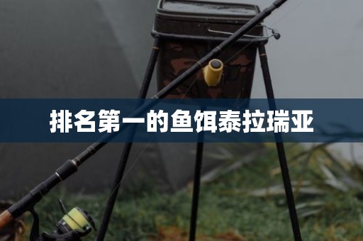 排名第一的鱼饵泰拉瑞亚