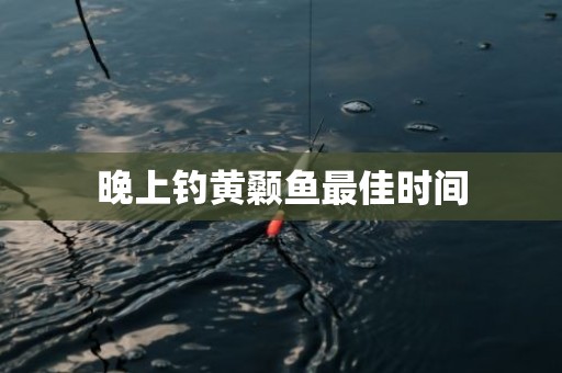 晚上钓黄颡鱼最佳时间