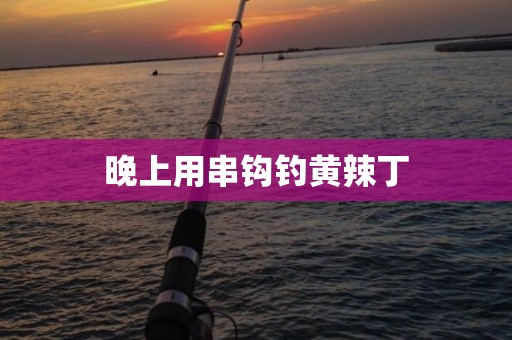 晚上用串钩钓黄辣丁