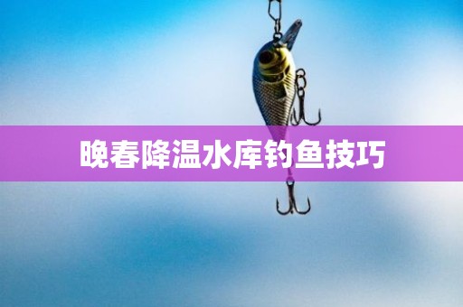 晚春降温水库钓鱼技巧