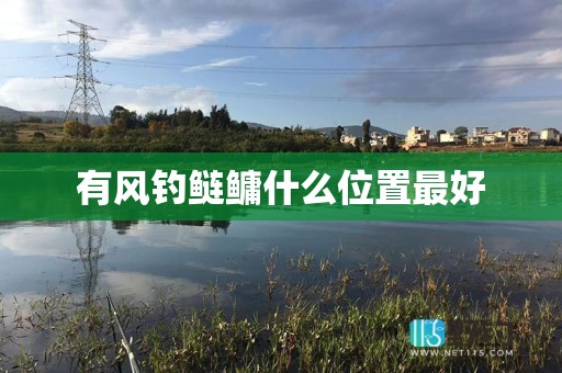 有风钓鲢鳙什么位置最好