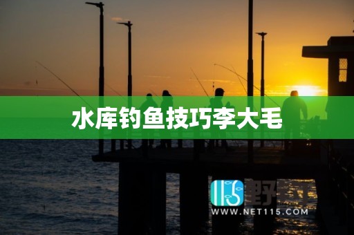 水库钓鱼技巧李大毛
