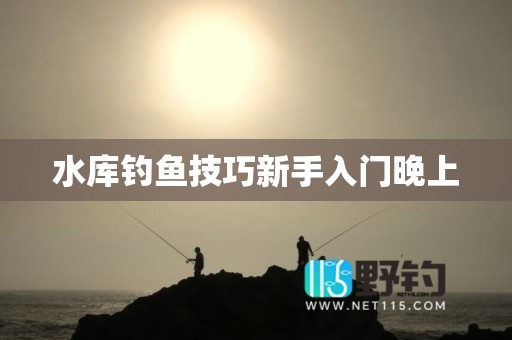 水库钓鱼技巧新手入门晚上