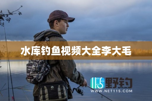 水库钓鱼视频大全李大毛