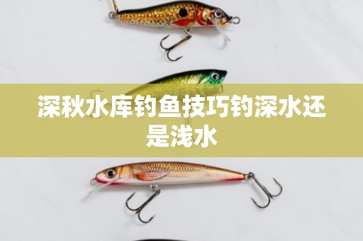 深秋水库钓鱼技巧钓深水还是浅水