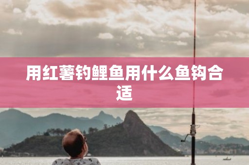 用红薯钓鲤鱼用什么鱼钩合适