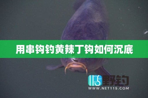 用串钩钓黄辣丁钩如何沉底