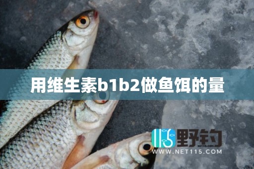 用维生素b1b2做鱼饵的量