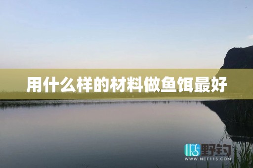 用什么样的材料做鱼饵最好