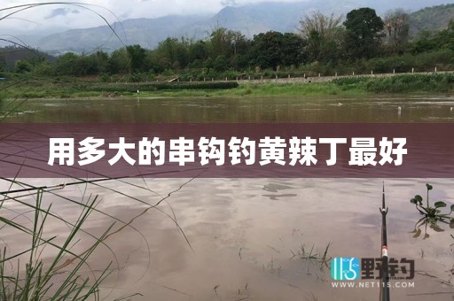 用多大的串钩钓黄辣丁最好