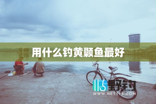 用什么钓黄颡鱼最好