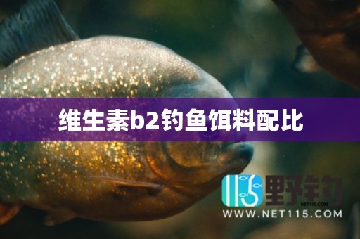 维生素b2钓鱼饵料配比