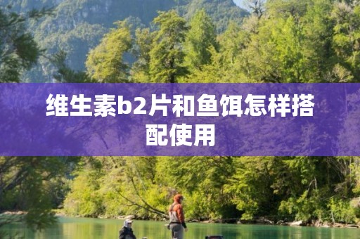 维生素b2片和鱼饵怎样搭配使用