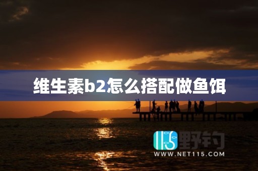维生素b2怎么搭配做鱼饵