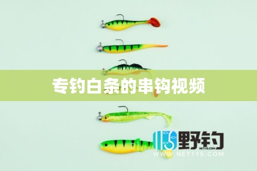 专钓白条的串钩视频