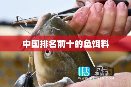 中国排名前十的鱼饵料