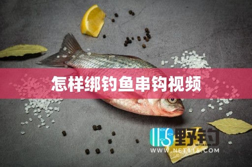 怎样绑钓鱼串钩视频